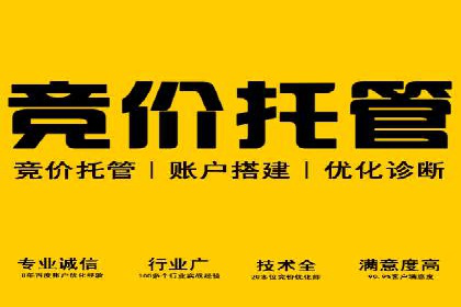 某知名品牌SEM运营策略及效果评估